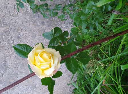 Homme bi recherche homme couple