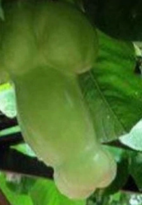 ERIC POUR FELLATIONS POUR HOMMES ACTE GRATUIT