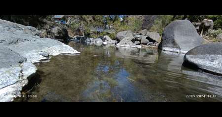        au femmes qui veulent