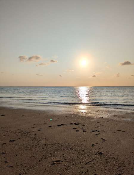 Me faire sucer et plus