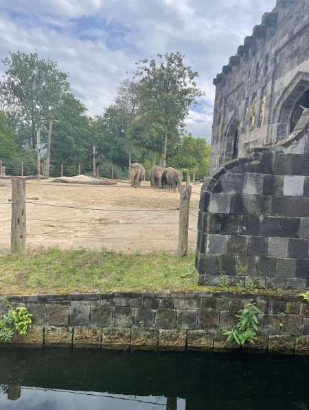 Jeune discret pour f