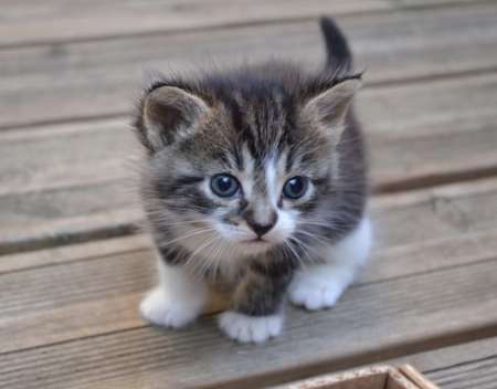 Soir�e coquine pour jour de l an/ homme un femme