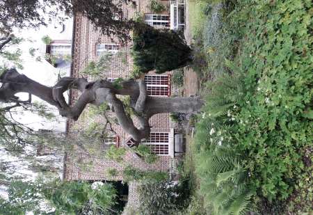 homme bi mature suce avale sperme