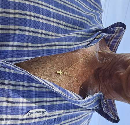 Beau m�le mature bisexuel pour couple,femme ou hom