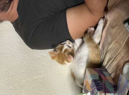 femme boy cherche homme ou femme