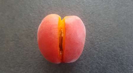 Supers cunnis pour F qui adore �tre l�ch�e