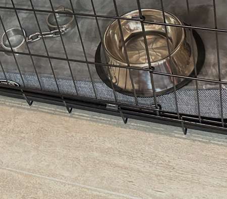 Chch soumise acceptant odeurs fortes pour FreeUse