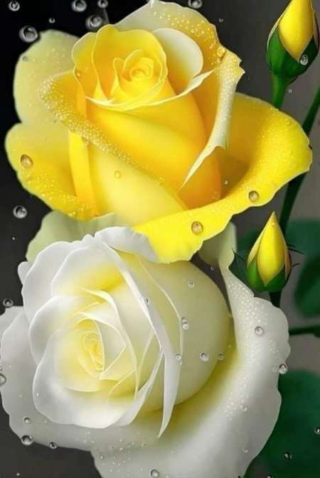 Belle massage de Canne