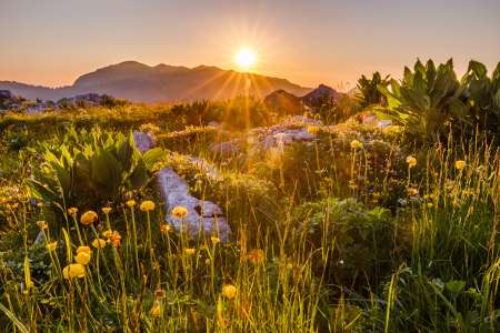 Je recherche ma complice pour une relation suivie