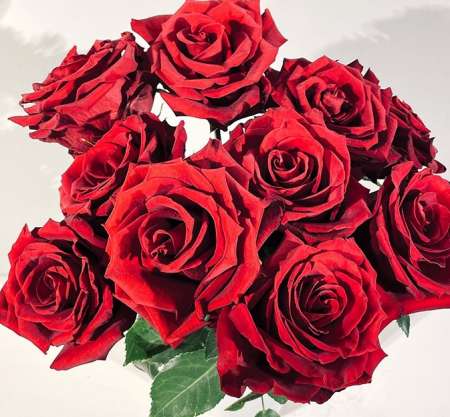 Voyeur pour couples ou femmes