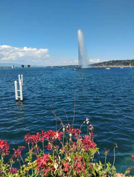 Actif BM pour travestis ou transsexuelle