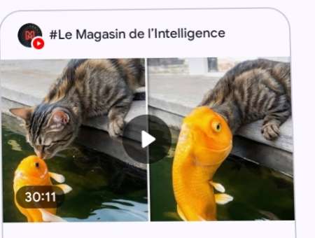 Homme pour cougar sexe chaud