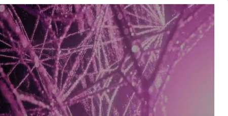 Blonde belle et discr�te couguar cherche rencontre