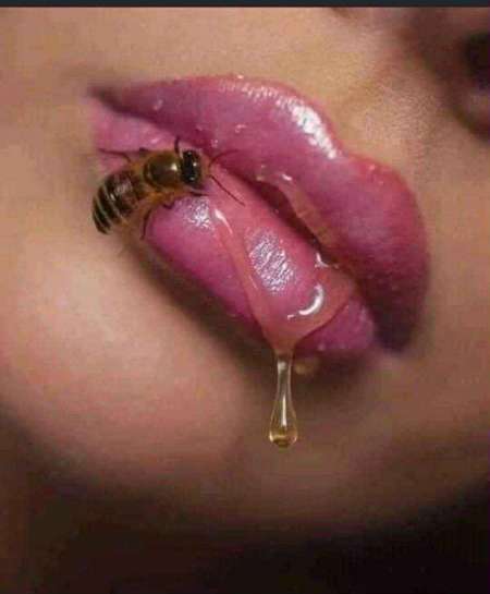 Homme            pour femmes