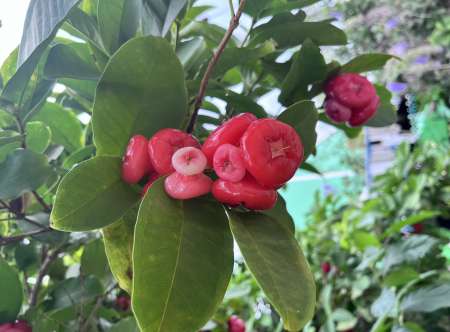 Menage nu pour personnes �g�es