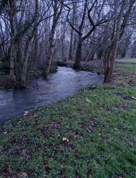 Homme gay cherche a se faire pi�tiner