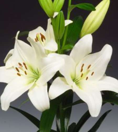 Relation coquine et sensuelle